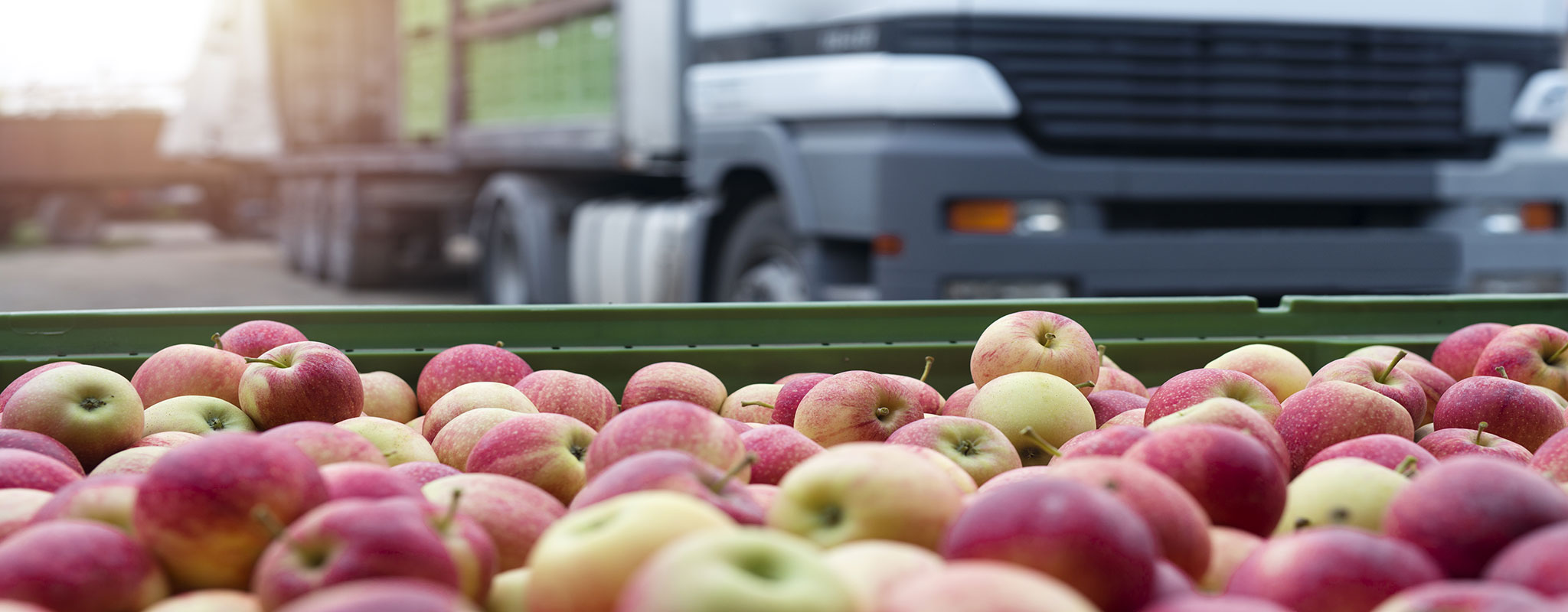 Close up of shipping crate full with apples with freight truck in background